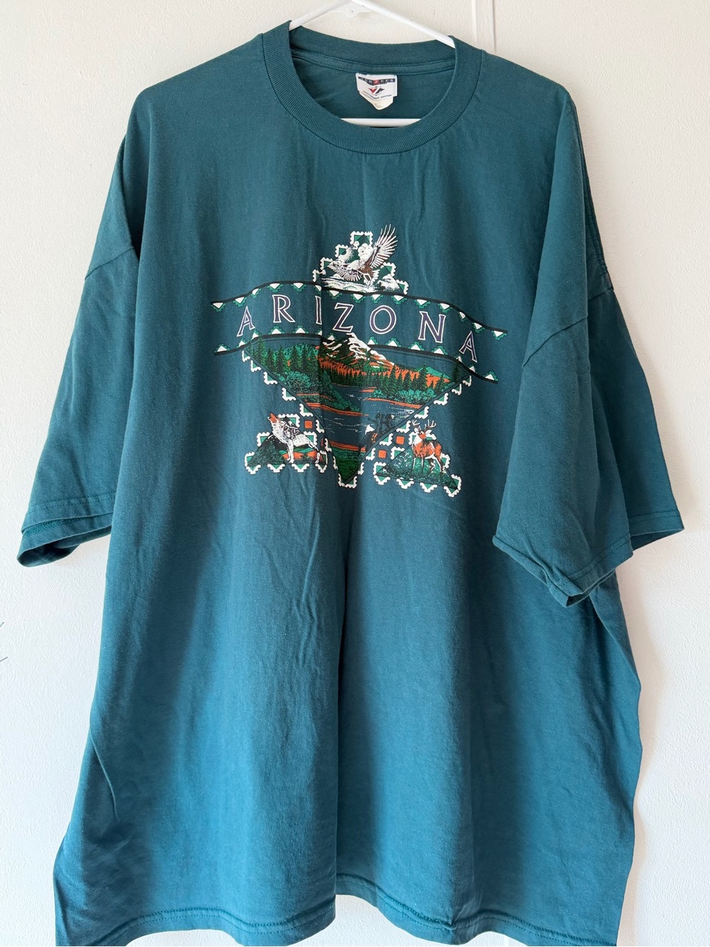 VTG Jerzees Men's Heavyweight Cotton Crew Neck Arizona Graphic Tee Teal 3X